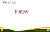 RAJA BUAH ‘King of Fruits’ Kalimantan sebagai “CENTER OF ...balitbu.litbang.pertanian.go.id/images/2020/pdf/durian.pdf · Nutrisi Durian* Pisang** Mangga** Manggis** Jeruk**