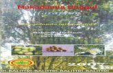 ppid.pertanian.go.idppid.pertanian.go.id/doc/1/Macadamia.pdf · 2016. 5. 20. · Makaðamia (Macadamia integrifolia Maiden &Betche) adalah penghasil biji berkadar lemak tinggi (>70