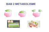 Bab 2 METABOLISME - indramalini.files.wordpress.com · Katabolisme Karbohidrat Bab 2 Metabolisme. Tahapan glikolisis Bab 2 Metabolisme Respirasi aerob. Tahapan siklus Krebs Bab 2