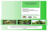 forisinvasivespeciessea.files.wordpress.com€¦ · i KATA PENGANTAR Indonesia dikenal sebagai Negara Megabiodiversity karena memiliki kekayaan keanekaragaman hayati yang melimpah.