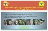 Riset dan Potensi Pengembangan Tumbuhan Obat dari Hutan ......2020/07/29  · Riset dan Potensi Pengembangan Tumbuhan Obat dari Hutan Alam di Kalimantan Prof. Dr. Ir. Yudi Firmanul