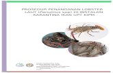 BKIPM penanganan... · Web viewI. Latar Belakang Lobster laut (Panulirus spp) merupakan salah satu komoditas unggulan yang saat ini populasinya di alam terus menurun akibat eksporasi