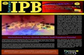 P a r i w a r a IPBbiofarmaka.ipb.ac.id/biofarmaka/2014/Pariwara IPB 2014 Vol 112.pdf · Pramuka dengan kedalaman 5 meter. Selain itu, pengambilan data batimetri dan parameter kualitas