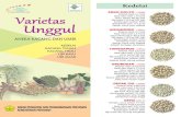 New Booklet Mei 2017 no layoutbalitkabi.litbang.pertanian.go.id/wp-content/uploads/...Tahan penyakit embun tepung VIMA 1 (2008) Potensi hasil 1,76 t/ha Rata-rata hasil 1,38 t/ha Umur