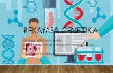 REKAYASA GENETIKA · 2020. 11. 30. · REKAYASA GENETIKA •Dasar dari bioteknologi yang di dalamnya meliputi manipulasi gen, kloning gen, DNA rekombinan, teknologi modifikasi genetik,