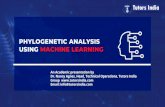 Phylogenetic analysis based on Machine Learning Algorithm