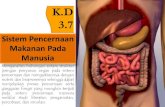 K.D 3 PERTEMUAN 3... · PDF file 2020. 11. 10. · Sistem Pencernaan Makanan Pada Manusia K.D 3.7 Menganalisis hubungan antara struktur jaringan penyusun organ pada sistem pencernaan