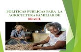 POLÍTICAS PÚBLICAS PARA LA AGRICULTURA FAMILIAR DE … · 2018. 12. 20. · Objetivo general: Diagnóstico. Evolución y estado actual de la PP para AF en Brasil. Metodología: