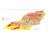 Zoneamento Agroecológico para Abacaxi no Município de ......Zoneamento Agroecológico para Abacaxi no Município de Caracol (MS) Projeção Cartográfica: Universal Transversa de