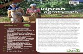 World Argoforestry Centre (ICRAF) Indonesia Volume 7 No. 1 - …apps.worldagroforestry.org/.../newsletter/NL0061-14.pdf · 2015. 3. 20. · 5 3 8 10 13 World Argoforestry Centre (ICRAF)