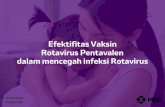 Efektifitas Vaksin Rotavirus Pentavalen dalam mencegah ... · Gejala Diare Rotavirus 1. Begitu seseorang terkena rotavirus, dibutuhkan sekitar 2 hari untuk gejalamuncul 2. Anak-anak