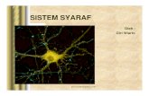 SISTEM SYARAF - Polankafisioterapi.polanka.ac.id/.../uploads/2018/03/saraf.pdfinformasi ke sistem saraf pusat. b. Syaraf Motorik:sel yang menyampaikan informasi dari sistem saraf pusat.