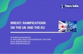 Brexit: Ramifications on the UK and the EU (Best dissertation writing services uk)