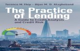 The Practice of Lending: A Guide to Credit Analysis and Credit Risk