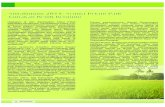 Simalungun 2011: Semua Petani Padi Gunakan Benih Bermutu · 2011. 5. 19. · kesejahteraan para petani. Oleh karena itu, Edi M Purba sangat mengharapkan kepada Pemda setempat agar