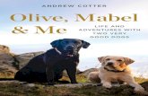 TOP Olive, Mabel & Me: Life and Adventures with Two Very Good Dogs
