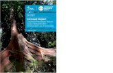 EIA UK Forest Merbau Report 1220 Indonesian EIA report 0208€¦ · Direktorat Jenderal Penegakan Hukum Kementerian Lingkungan Hidup dan Kehutanan Ditjen PHPL Direktorat Jenderal