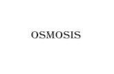 OSMOSIS - Universitas Brawijayachanif.lecture.ub.ac.id/files/2019/09/PRESENTASI-OSMOSIS.pdf•Larutan hipotonik •Larutan isotonik . LARUTAN HIPERTONIK •suatu keadaan dimana konsentrasi