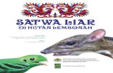 cover fauna lembonah - FORDA · 2020. 5. 30. · 30 Tikus 31 7. Kelelawar (Chiropthera) 31 Nighti Terkecil (Pipistrellus tenuis) 32 Codot Kepala-Hitam (Chironax melanocephalus) 33