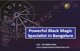 Black Magic Removal Astrologer in Bangalore