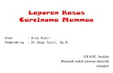 Laporan Kasus Carcinoma Mammaedocshare04.docshare.tips/files/24843/248434798.pdf · 2017. 2. 3. · Diagnosis Ca Mammae Anamnesis Pemeriksaan Fisik Pemeriksaan Penunjang - Status