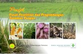 Profil - Pertanian · PDF file 2016. 5. 20. · Buku profil ini memuat informasi tentang sejarah singkat Puslitbang Tanaman Pangan, mandat, visi dan misi, struktur organisasi, program