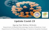 Update Covid-19...Mutasi Baru COVID-19 •1. Mutasi D614G –sudah terdapat di Indonesia sejak Maret 2020 –Sejak Oktober 2020, Strain dominan di Indonesia –Lebih Infeksius •2.
