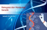 Rekayasa dan Manipulasi Genetik · 2021. 5. 10. · DNA yang berisi gen baru yang diinginkan atau kombinasi gen-gen baru atau dapat dikatakan sebagai manipulasi organisme. ... memerlukan