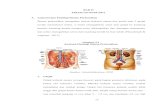 BAB II TINJAUAN PUSTAKA A. Anatomi dan Fisiologi Sistem ...