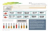 Diagnostic Tools Dermatoglyphics
