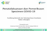Penatalaksanaan dan Pemeriksaan Spesimen COVID-19