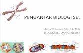PENGANTAR BIOLOGI SEL - ucarecdn.com