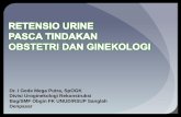 Dr. I Gede Mega Putra, SpOGK Divisi Uroginekologi