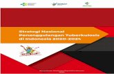 Strategi Nasional Penanggulangan Tuberkulosis di Indonesia ...