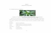 BAB II TINJAUAN PUSTAKA 2.1 Kitolod (Isotoma longiflora)