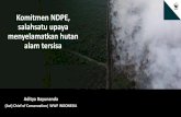 Komitmen NDPE, salahsatu upaya menyelamatkan hutan …