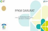 PPKM DARURAT - indef.or.id