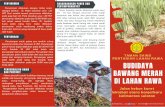 Leaflet Budidaya bawang di lahan Rawa
