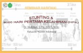 Dr. Mufdlilah, S.Pd., S.SiT., M.Sc Ketua AIPKEMA Indonesia