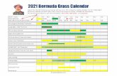 Bermuda Lawn Guide - Bermuda Lawn Guide