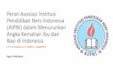 Peran Asosiasi Institusi Pendidikan Ners Indonesia (AIPNI ...