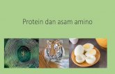 Protein dan asam amino - spada.uns.ac.id