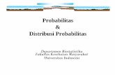 Probabilitas Distribusi Probabilitas
