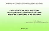 Презентация доклада К.Э.Лайкама - Федеральная служба ...