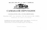 CAMARA DE DIPUTADOS - BCN