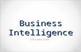 Business Intelligence Intro 1