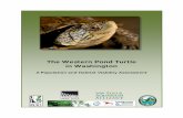 Western Pond Turtle Population and Habitat Viability Assessment