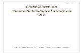 field diary on ant behaviour