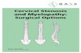 Cervical Stenosis and Myelopathy: Surgical Options - British ...