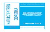 TFG/GBL 2019 - Academica-e